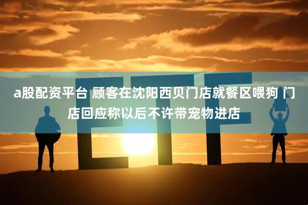 a股配资平台 顾客在沈阳西贝门店就餐区喂狗 门店回应称以后不许带宠物进店